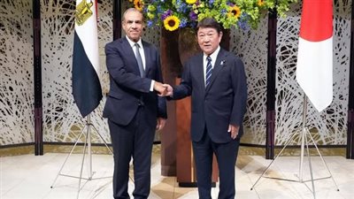 وزير التخطيط يبحث مع نائب رئيس وزراء بلجيكا تعزيز الشراكة الاقتصادية والاستثمارية