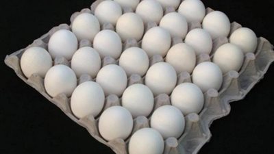 أسعار البيض