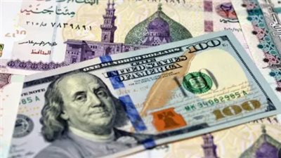 هدوء في سوق العملات: الدولار يسجل استقراراً في البنك المركزي والبنوك المحلية