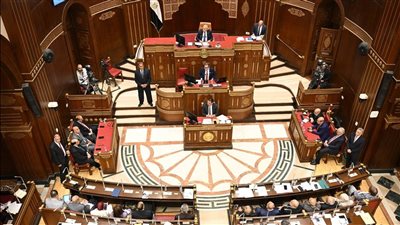 مجلس الشيوخ يناقش خطة التنمية 2026/2027.. توصيات لدعم الاستثمار وخفض التضخم وتعزيز الأمن السيبراني