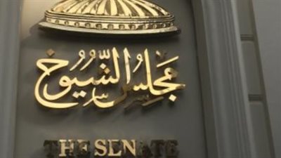 مجلس الشيوخ يناقش خطة التنمية الاقتصادية والاجتماعية للعام المالي 2026/2027
