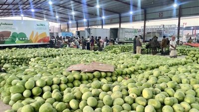 استقرار أسعار الفاكهة في الأسواق المصرية اليوم الأربعاء 10 يونيو 2026