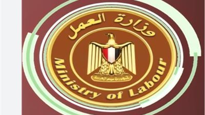 كيف تحصل على وظيفة في شركة نقل أموال؟ تفاصيل المبادرة الجديدة من وزارة العمل المصرية