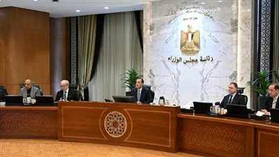 مدبولي: توريد 4.6 مليون طن قمح لأول مرة في التاريخ