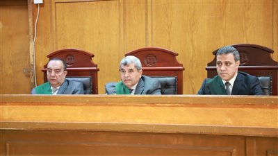المحكمة برئاسة المستشار عبد المنصف إسماعيل 