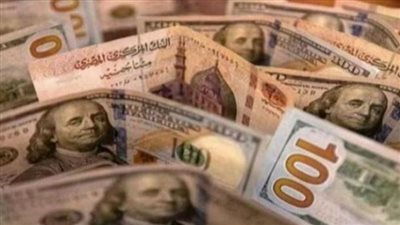 مؤشرات العملة الخضراء في البنوك المصرية: تحديثات السبت 13 يونيو 2026