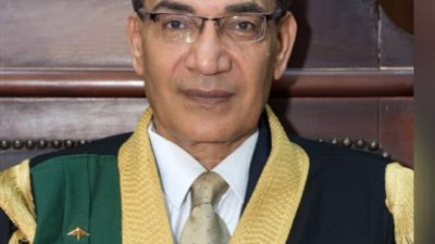 المستشار علي عرفان
