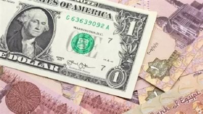 استمرار ثبات سعر الدولار في البنوك الوطنية والخاصة اليوم الأحد