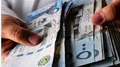أسعار الصرف اليوم.. الريال السعودي يتماسك أمام الجنيه في تعاملات الأحد