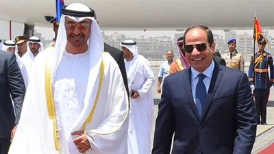 السيسي والشيخ محمد بن زايد: تنسيق مستمر لترسيخ دعائم الأمن العربي المشترك