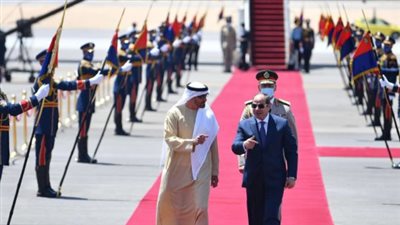 الزعيمان يستعرضان التطورات الإقليمية: قمة مصرية إماراتية تؤكد على ثوابت العمل العربي المشترك