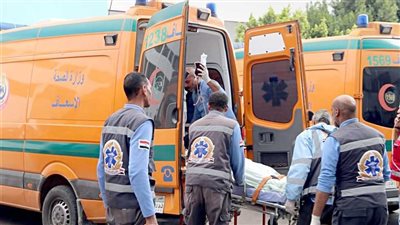 الإعدام لقاتل والدته في الزيتون.. استغل نومها ونحر عنقها ثم عاد للنوم