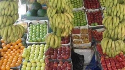 حالة استقرار في أسعار الفاكهة بأسواق الجملة والتجزئة اليوم