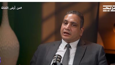 ملف المصريين بالخارج.. النائب عماد خليل يطالب بتغيير ثقافة التعامل وتقديم مزايا حقيقية