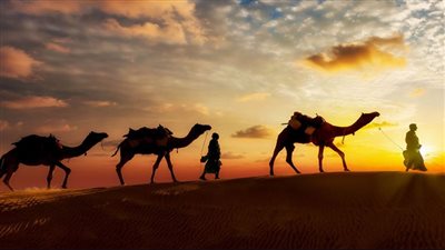 المشيخة العامة للطرق الصوفية تنظم اليوم موكب الهجرة النبوية بمشاركة شعبية واسعة