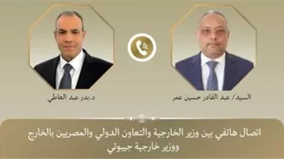 عبد العاطي ونظيره الجيبوتي