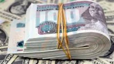 سعر الدولار اليوم: حالة من الهدوء في أسواق الصرف المصرية بمستهل التعاملات