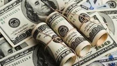 استقرار سعر الدولار مقابل الجنيه المصري اليوم السبت 20 يونيو 2026