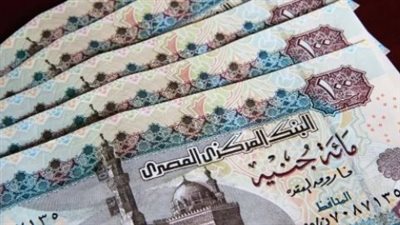 كيف تستعلم عن معاشك لشهر يوليو 2026 عبر الموقع الرسمي؟
