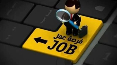 فرص عمل ذهبية في قطاع النقل البري برواتب تصل إلى 15 ألف جنيه