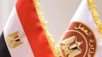 تخصصات متنوعة: تفاصيل الوظائف الفنية والإدارية الجديدة بشركات النقل