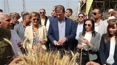 الزراعة في عهد الرئيس السيسي.. 12 عامًا من الإنجازات الكبرى