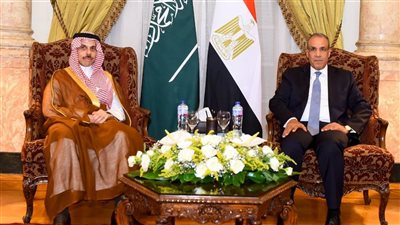مصر والسعودية تبحثان تطورات فلسطين والسودان وليبيا والملف الإيراني