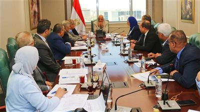 وزير الكهرباء: الشبكة القومية جاهزة لمواجهة أحمال الصيف