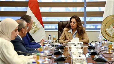 التنمية المحلية ونقابة المهندسين تبحثان تطوير التصالح والبناء
