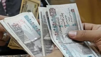 استدامة المعاشات في مصر: التزام الخزانة العامة بسداد قسط سنوي يبدأ بـ 238.55 مليار جنيه