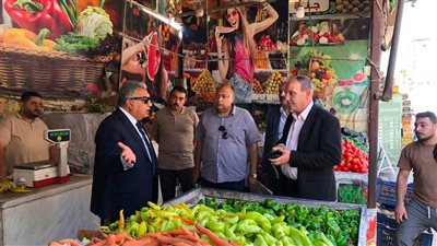 محافظ الدقهلية يتابع منافذ الخضروات ويشدد على الالتزام بالأسعار