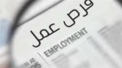 هل تمتلك رخصة قيادة أولى؟ وزارة العمل توفر وظائف برواتب تنافسية ومزايا متعددة