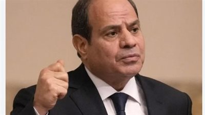 استعراض المنظومة الوطنية الجديدة للجوء في مصر خلال استقبال السيسي للمفوض السامي