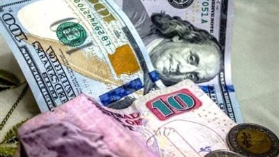 استقرار ملحوظ: أسعار الدولار في البنوك المصرية اليوم السبت