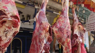 حركة الأسعار في محلات الجزارة والمنافذ اليوم: أسعار اللحوم بجميع أنواعها