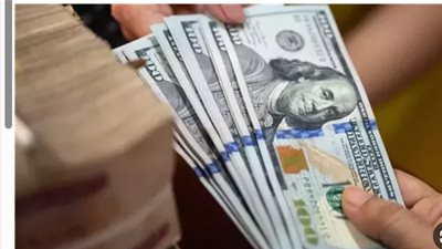 استقرار سعر الدولار أمام الجنيه المصري اليوم الأحد 28 يونيو 2026