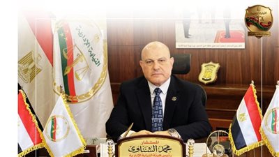 المستشار محمد الشناوي،