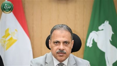 محافظ الشرقية