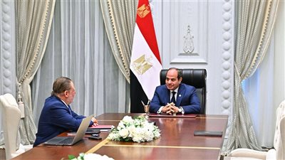 محافظ البنك المركزي والرئيس السيسي