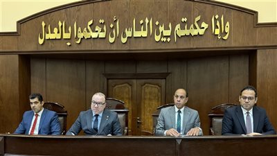 المحكمة برئاسة المستشار محمد أبو إسماعيل 