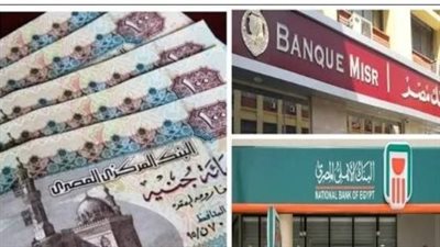 رسمياً.. الخميس إجازة مدفوعة الأجر للبنوك والمصالح الحكومية بذكرى ثورة يونيو