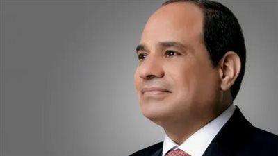 الرئاسة المصرية تعلن تفاصيل تسلم أوراق اعتماد السفراء الجدد لدى مصر