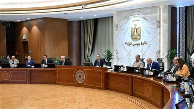 قرارات مجلس الوزراء الجديدة: منح الرخصة الذهبية لمشروعات تخزين الطاقة بـ 800 مليون دولار