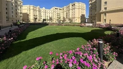 راندة المنشاوي تستعرض جهود هيئتي 