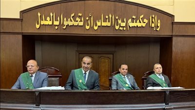 المحكمة برئاسة المستشار وائل إبراهيم 