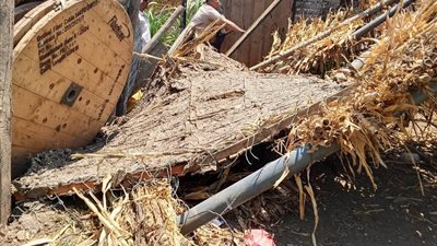 محافظ المنوفية يوجه بإزالة التعديات فورًا.. حملات موسعة في 4 مراكز