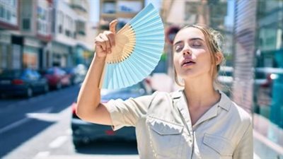 تقرير الطقس اليومي: هل يستمر نشاط الرياح المثيرة للرمال والأتربة في الوادي الجديد؟