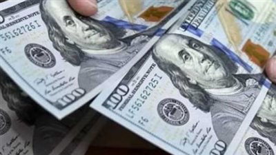 حالة من الاستقرار تسيطر على سعر الدولار في البنوك المصرية