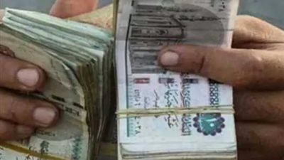 الدليل الشامل لخدمات 
