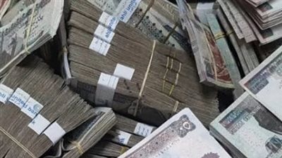 بشرى للمواطنين.. الدولة تدرس بدقة قيم الدعم النقدي لكل مستحق على البطاقة
